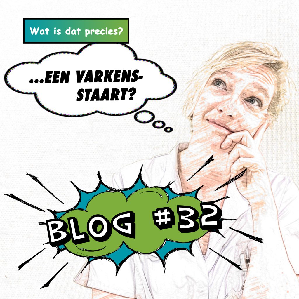 wilma32 Blog 32 van Wilma