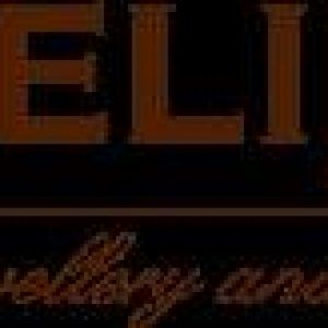 logo-koelink logo-koelink