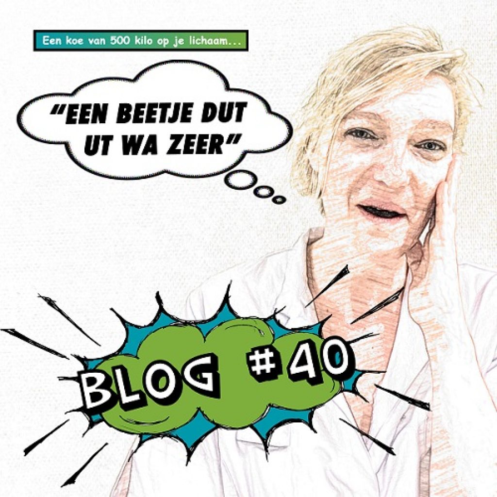 wilma-blog-40 wilma-blog-40