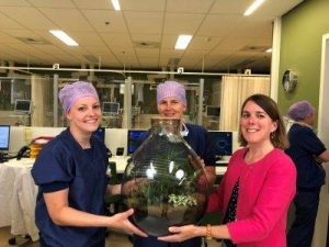 groene groep zes duurzaamheidsbokaal